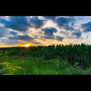 Meet your Posher, Allyson